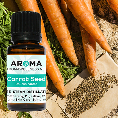 Carrot Seed Oil - Aroma Wellness