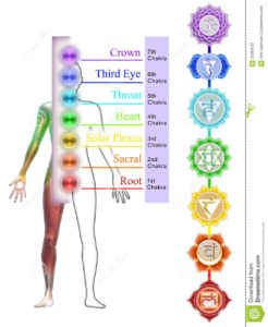 7 Chakras in Human Body & Their Significance - Ananta Hemp Works